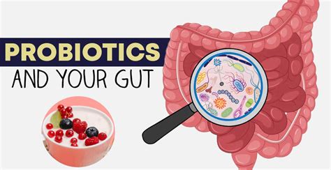 Probiotics: a role in the treatment of intestinal infection .